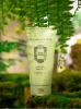 La Sultane de Saba Lait Corporel Body Lotion Ginger Green Tea Mleczko do ciała zielona herbata imbirowa 200 ml