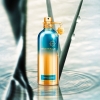 Montale Herbal Aquatica Woda perfumowana 100 ml