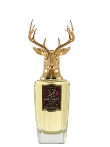 Pana Dora Orchestra Woda perfumowana 100 ml