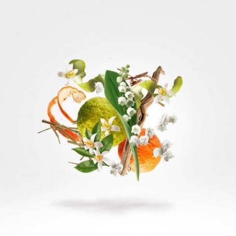 XERJOFF 1861 Renaissance Woda perfumowana 100 ml