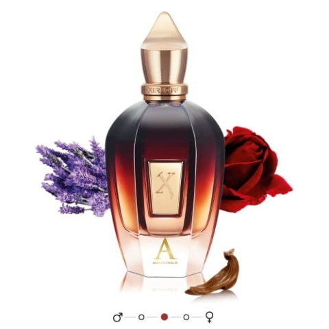 XERJOFF Oud Stars Alexandria II Perfumy 50 ml