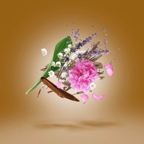 XERJOFF Oud Stars Alexandria II Perfumy 50 ml