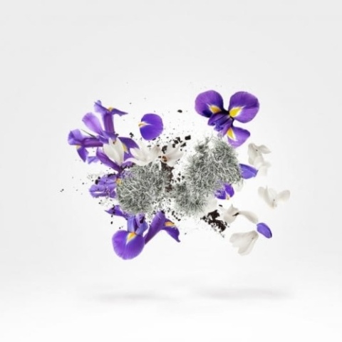 XERJOFF Shooting Stars Apollonia Perfumy 50 ml