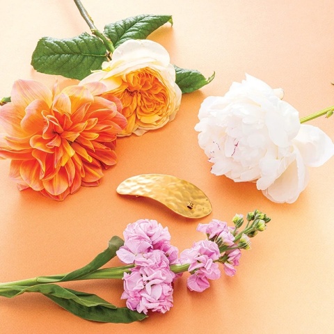 Balmain Limited Edition Printemps Leaf Barrette Pour Cheveux Klamra w kształcie liścia Printemps