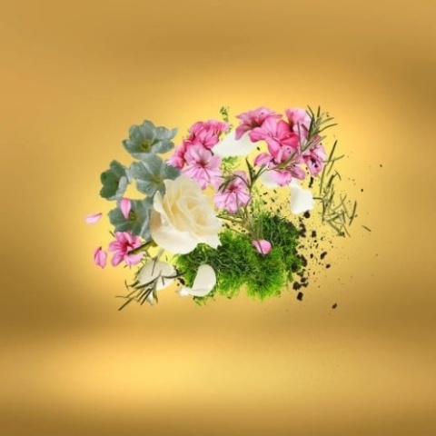 XERJOFF CASAMORATI CasaFutura Woda perfumowana 30 ml