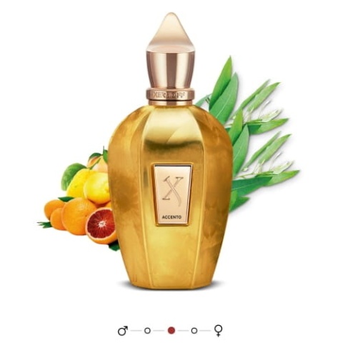 XERJOFF V Accento Overdose próbka z atomizerem 2 mlXERJOFF V Accento Overdose woda perfumowana 100 ml