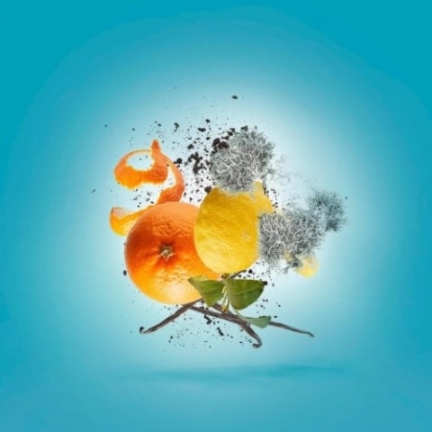 XERJOFF V Erba Pura próbka z atomizerem 2 ml