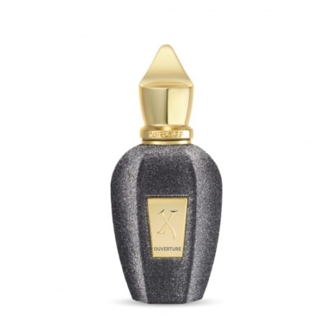 XERJOFF V Ouverture próbka z atomizerem 2 ml