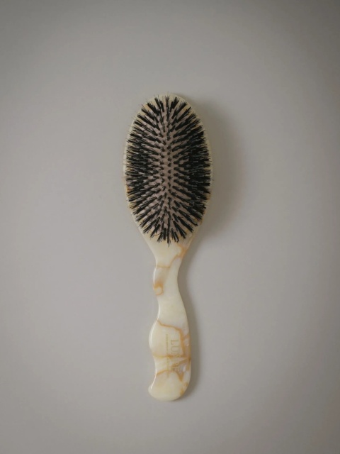 LUARE The Coastal Brush 1892