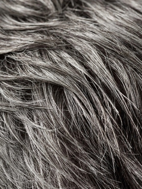 Oribe Signature Rough Luxury Soft Molding Paste Nabłyszczający wosk w paście do stylizacji włosów 50 ml