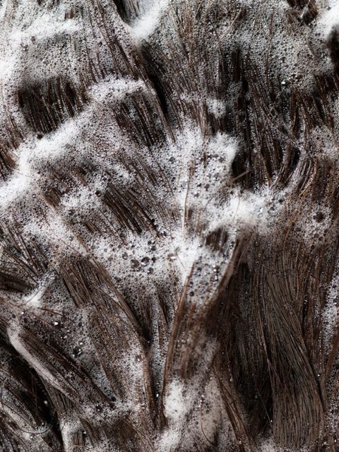 Oribe Signature Shampoo a Daily Indulgence Nawilżający szampon do codziennego użytku 250 ml