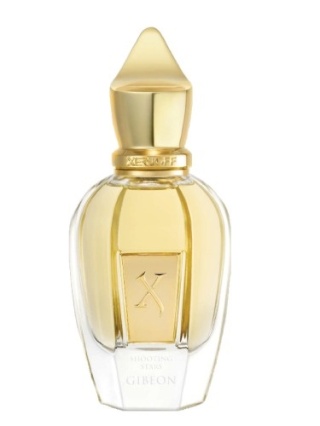 Xerjoff Shooting Stars Gibeon Perfumy 50 ml