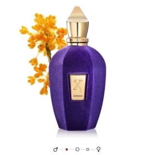 Xerjoff V Soprano Woda perfumowana 50 ml