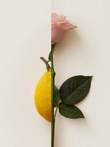 New Notes Rosa Limone Próbka z atomizerem 2 ml