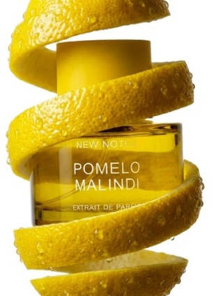 New Notes Pomelo Malindi Czyste perfumy 60 ml