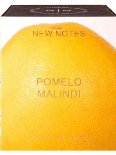 New Notes Pomelo Malindi Czyste perfumy 60 ml