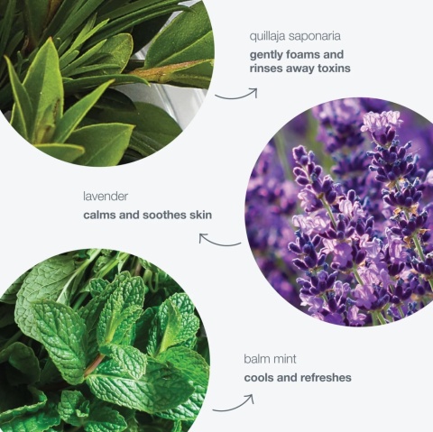 Dermalogica Special Cleansing Gel Żel do mycia twarzy 500 ml